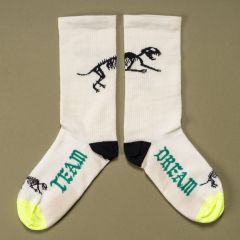 TEAM DREAM BICYCLING TEAM - BRANDS / ブランド - BLUE LUG