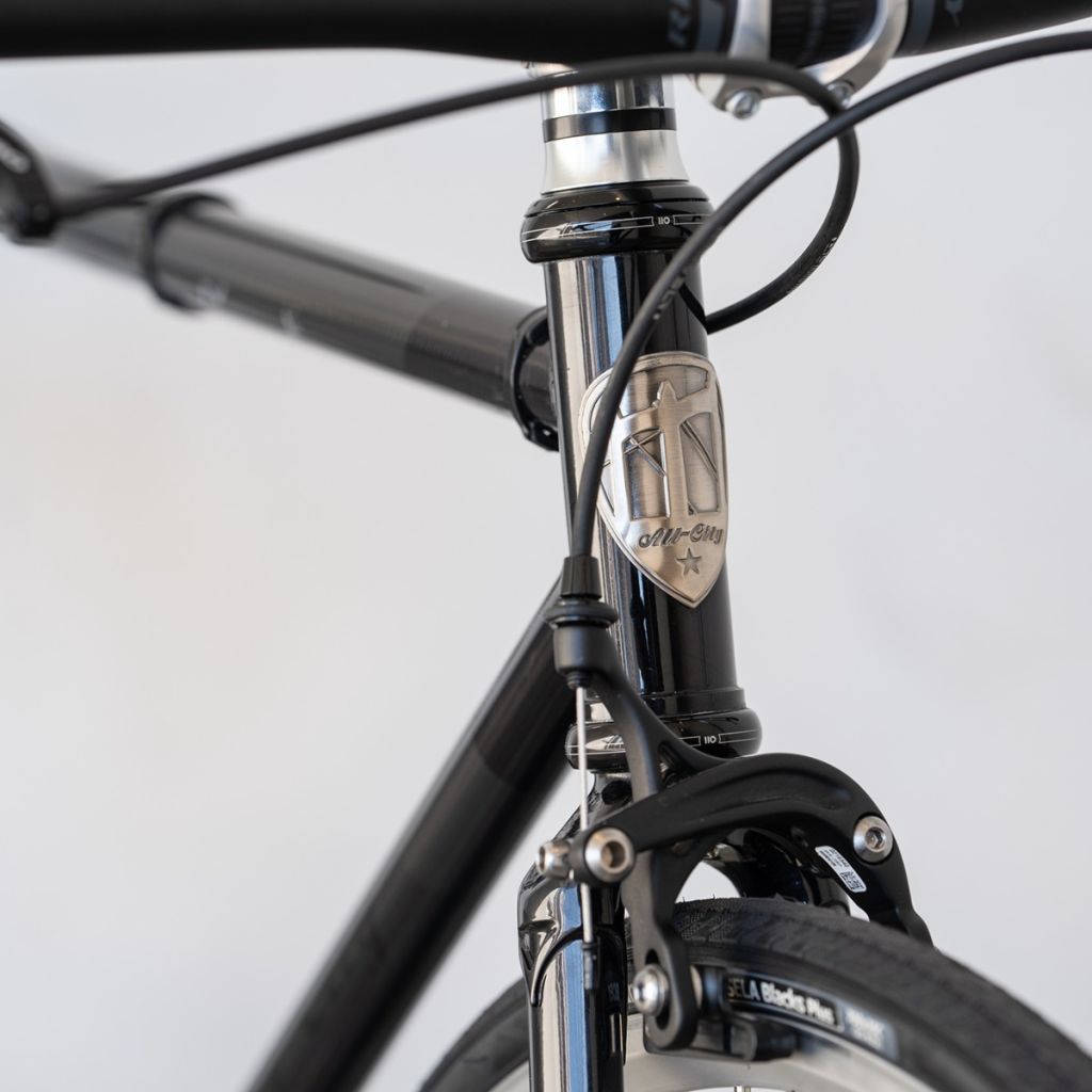 ALL-CITY* big block CUSTOM complete bike (52/night sky smoke 