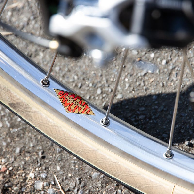 Pacenti brevet best sale rim