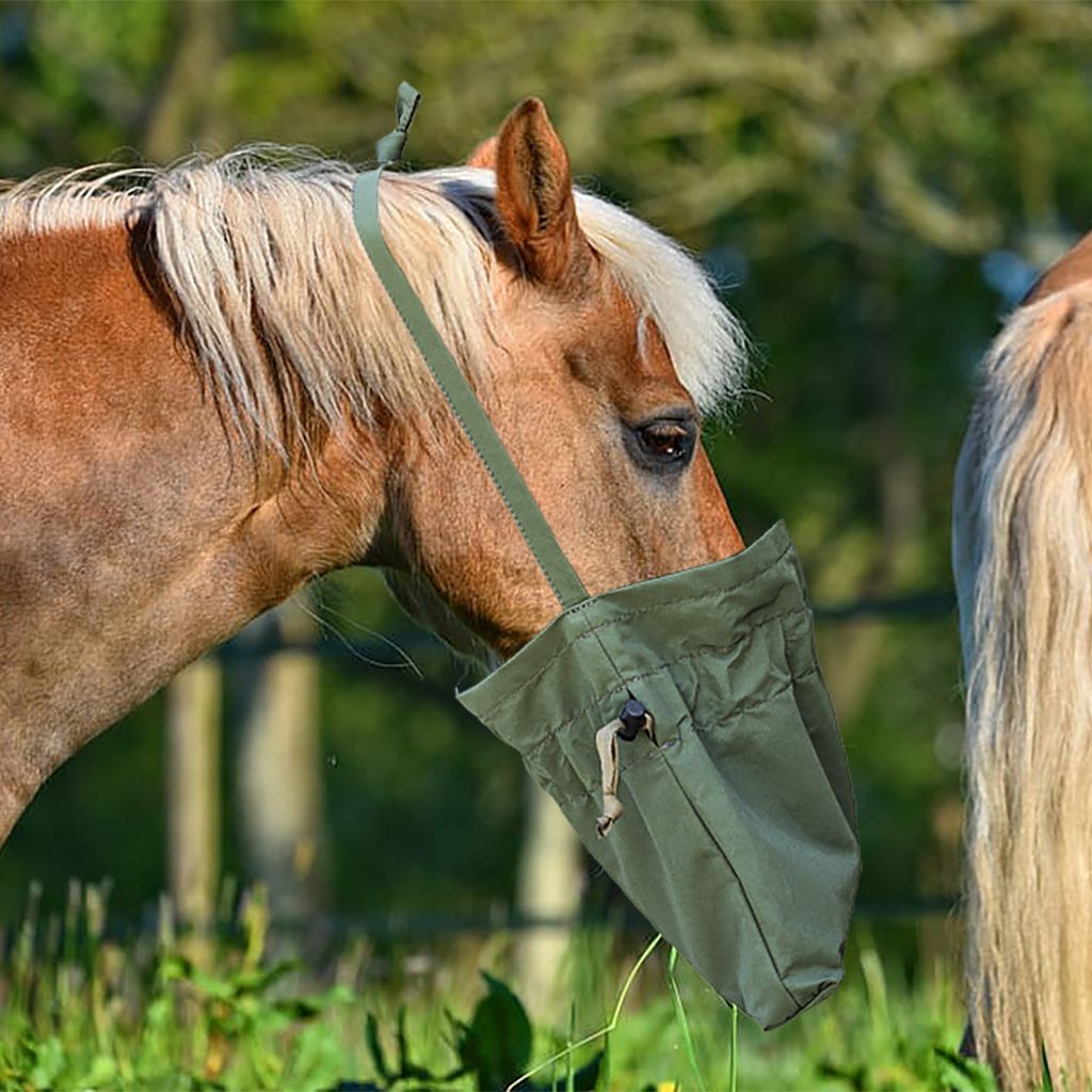 Horse with feedbag store