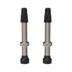 *WTB* TCS tubeless valve (nickel)