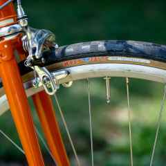 *RIVENDELL* maxy fasty (650B)