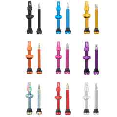 *WOLF TOOTH* tubeless valve stem kit