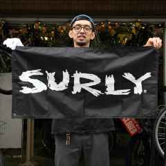 *SURLY* shop banner (small)
