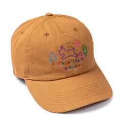 *BLUE LUG* local park cap  (yoyogi park/camel)