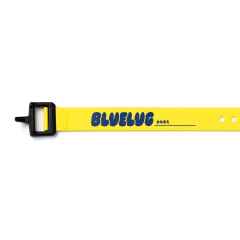 *VOILE* nylon buckle strap BL special 15inch (yellow/blue)