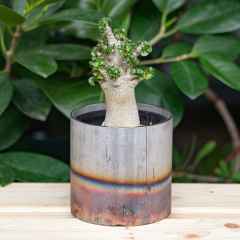 *REW10 WORKS* potal stainless pot (半炙り)