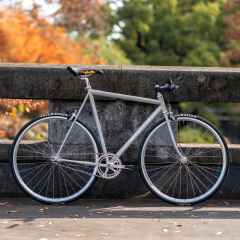 *AFFINITY CYCLES* lo pro CUSTOM complete bike (m/iridescent grey)