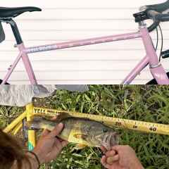 *YELL OUTDOOR STUDIO* top tube ruler 