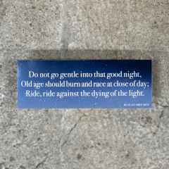 *BLUE LUG* tube sticker (do not go)