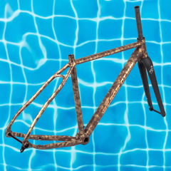 *BEACH CLUB* al dente frame (50/brown/gold)