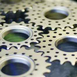 HED belgium＋Novaコグ 15930535.jpg