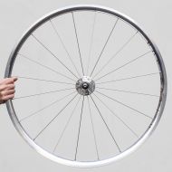 H PLUS SON × PHILWOOD* archetype pro track rear wheel (silver/24h