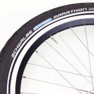 SCHWALBE* big ben 20