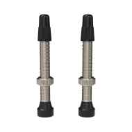 *WTB* TCS tubeless valve (nickel)