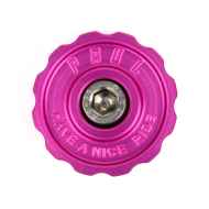PAUL* klamper stem top cap (orange) - BLUE LUG ONLINE STORE