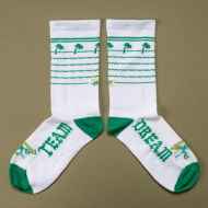 *TEAM DREAM* milkshake socks