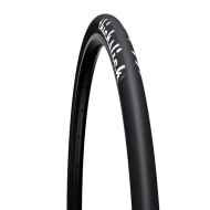 *WTB* thickslick tire (black)