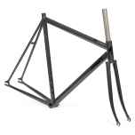 *AFFINITY CYCLES* lo pro track frame (prism black)