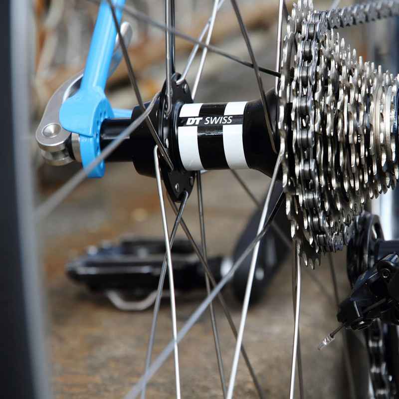 DT SWISS* 350 road hub (rear/24H) - BLUE LUG ONLINE STORE
