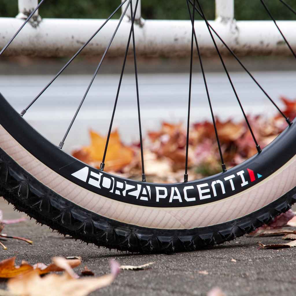 Sun mistral grancompeハブ 650c 完組ホイール Sun mistral grancompe