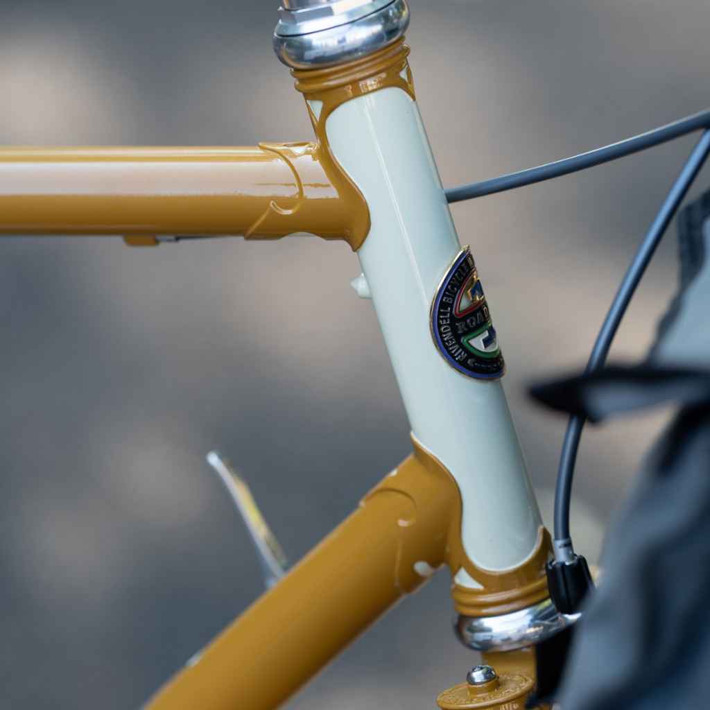 RIVENDELL* roaduno frame set (mustard) - BLUE LUG ONLINE STORE