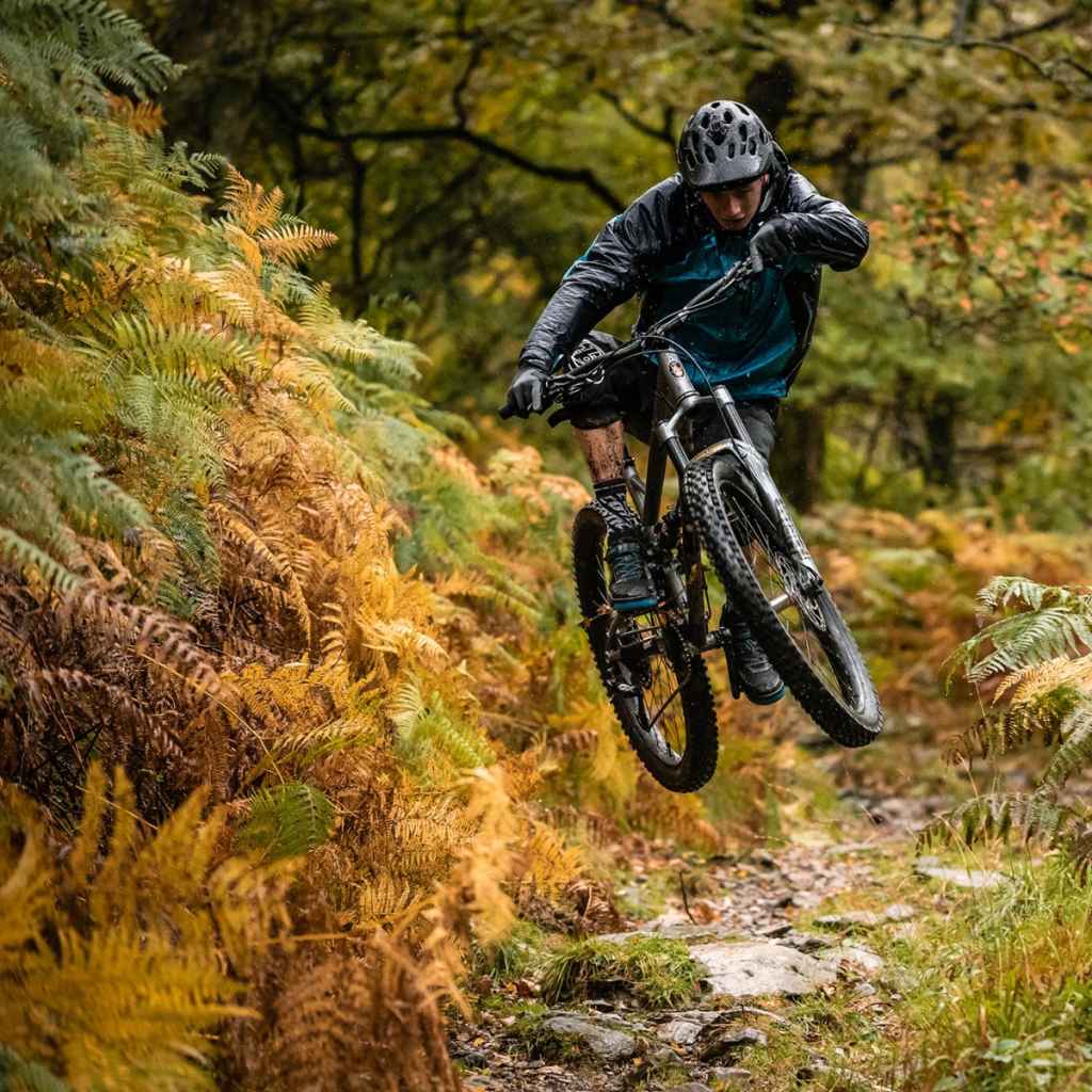 WTB* vigilante TCS tire (black) - BLUE LUG ONLINE STORE