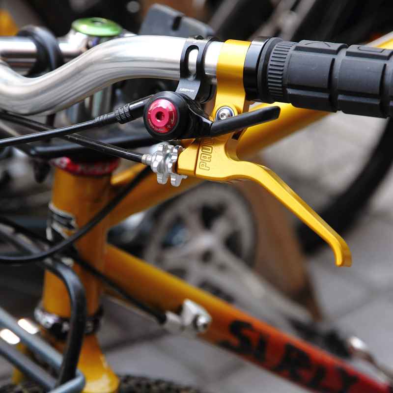 PAUL* canti lever (gold) - BLUE LUG ONLINE STORE