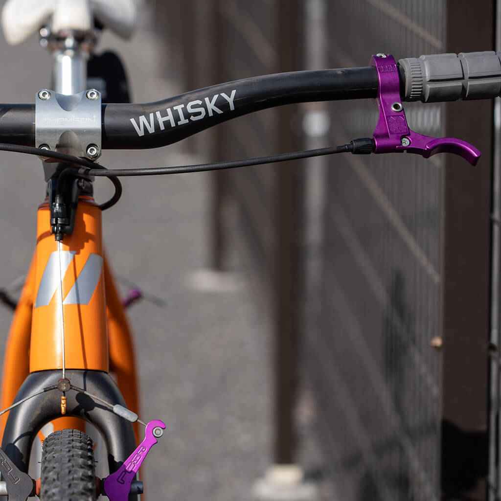 爆買いしたくなる e-lever PAUL* (purple) STORE ONLINE LUG BLUE - パーツ