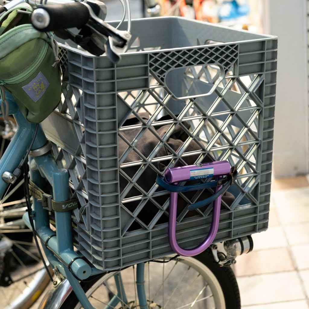 BLUE LUG* hello u-lock (purple) - BLUE LUG ONLINE STORE