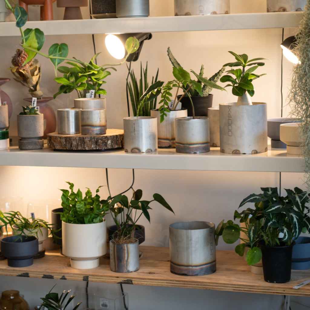 REW10 WORKS* potal stainless pot (全炙り) - BLUE LUG ONLINE STORE