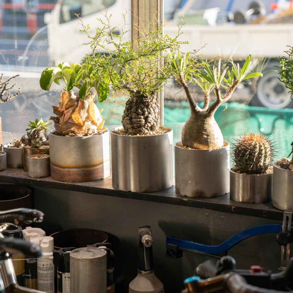 REW10 WORKS* potal stainless pot - BLUE LUG ONLINE STORE