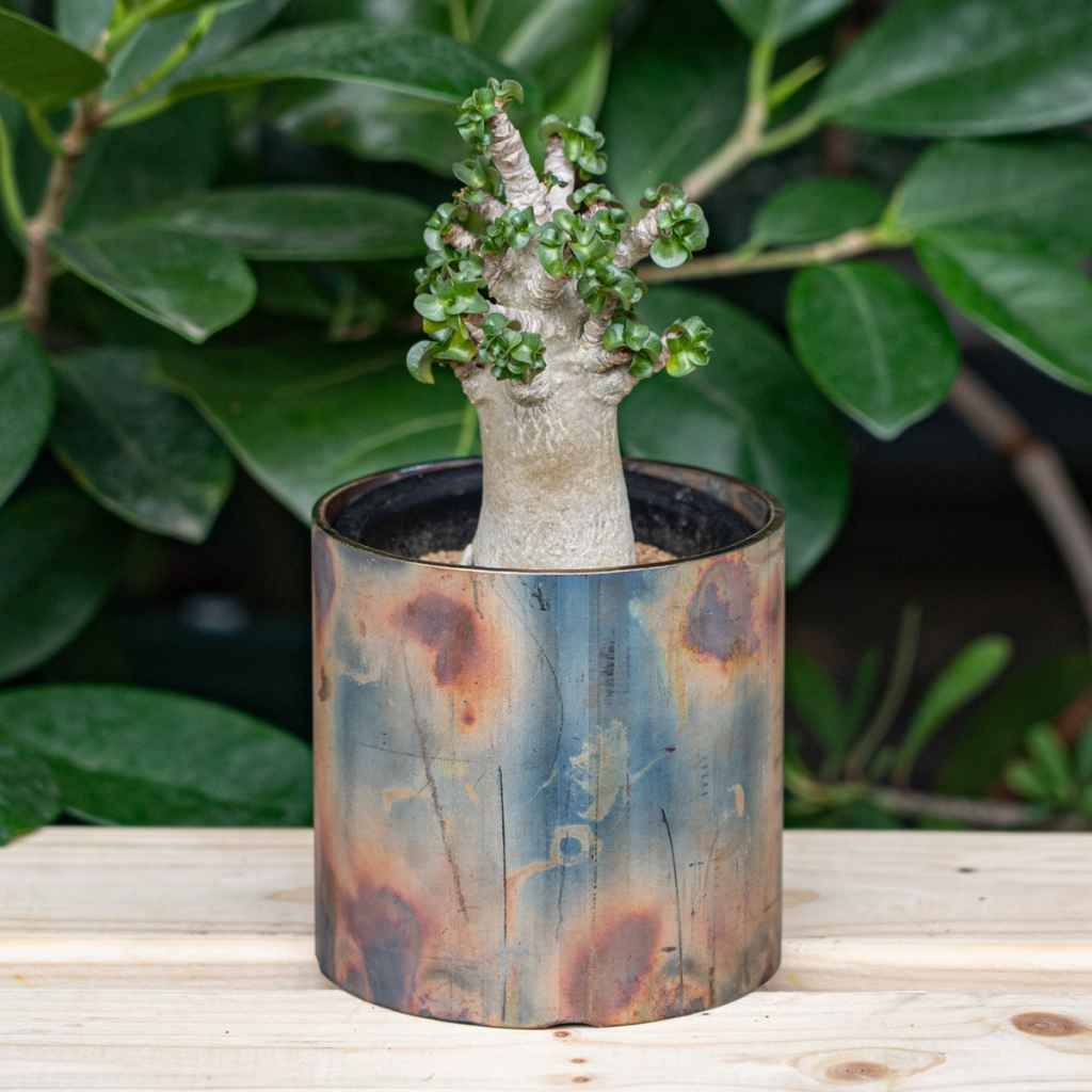 REW10 WORKS* potal stainless pot (全炙り) - BLUE LUG ONLINE