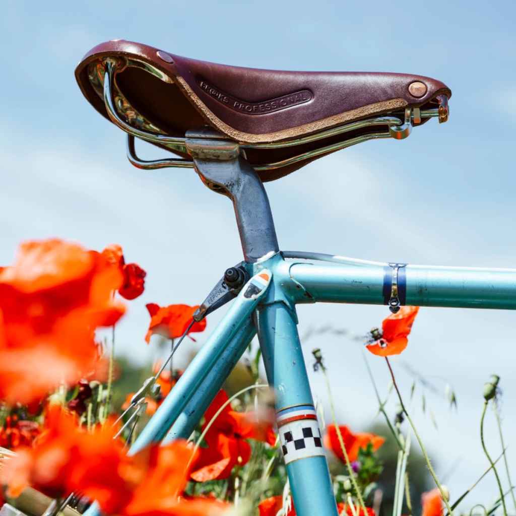 BROOKS* standard professional (brown) - BLUE LUG ONLINE STORE