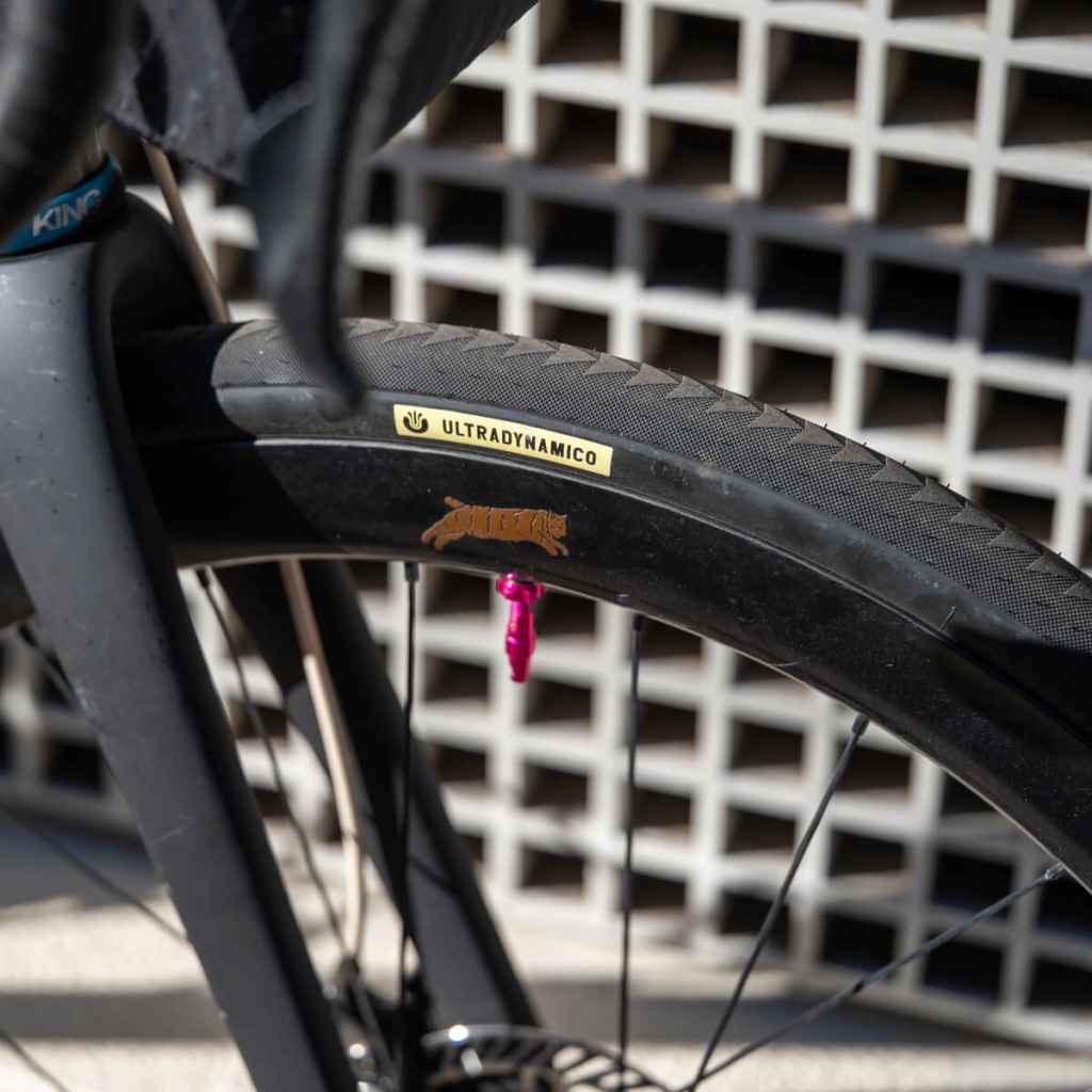 ULTRADYNAMICO* cava robusto tire (black/700c×33.??) - BLUE LUG