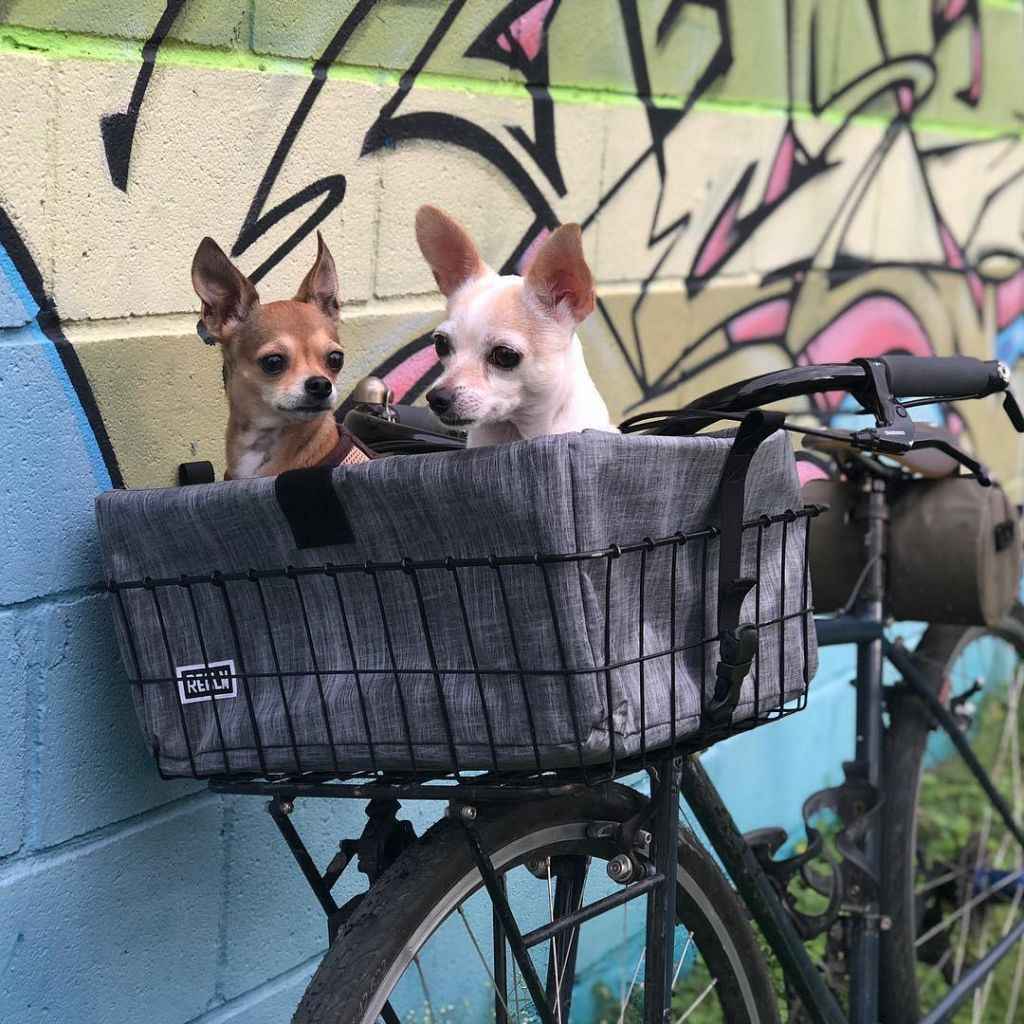 REALM* wald 139 basket bag (red) - BLUE LUG ONLINE STORE