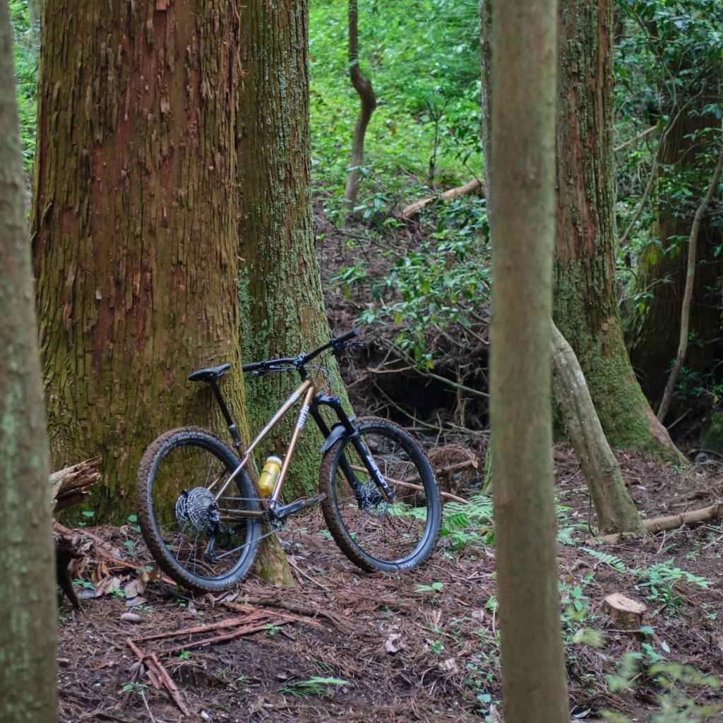 SURLY* sorceress frame (elderberry tonic) - BLUE LUG ONLINE STORE