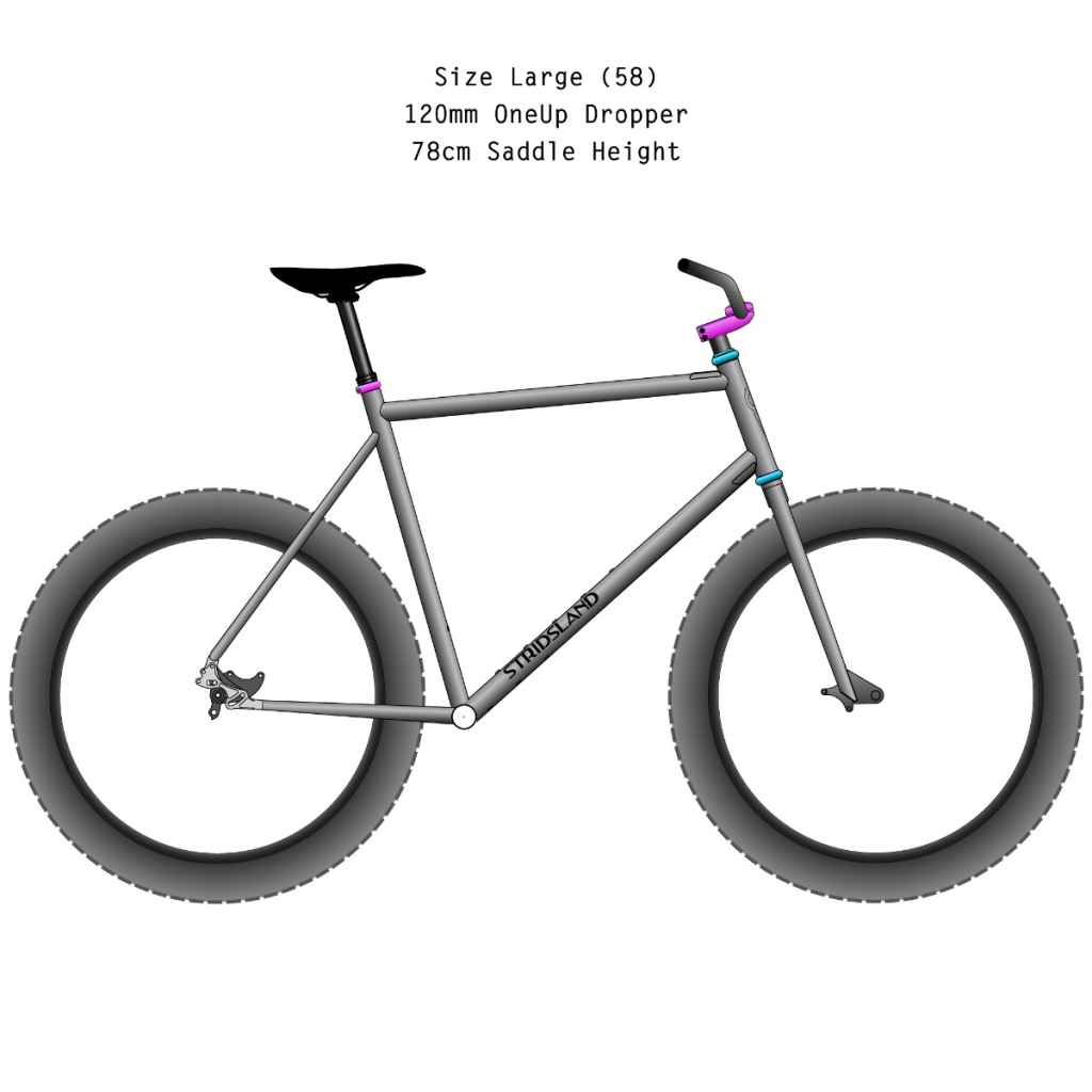 STRIDSLAND* beachcomber Ti frame kit (Ti fork) - BLUE LUG ONLINE STORE