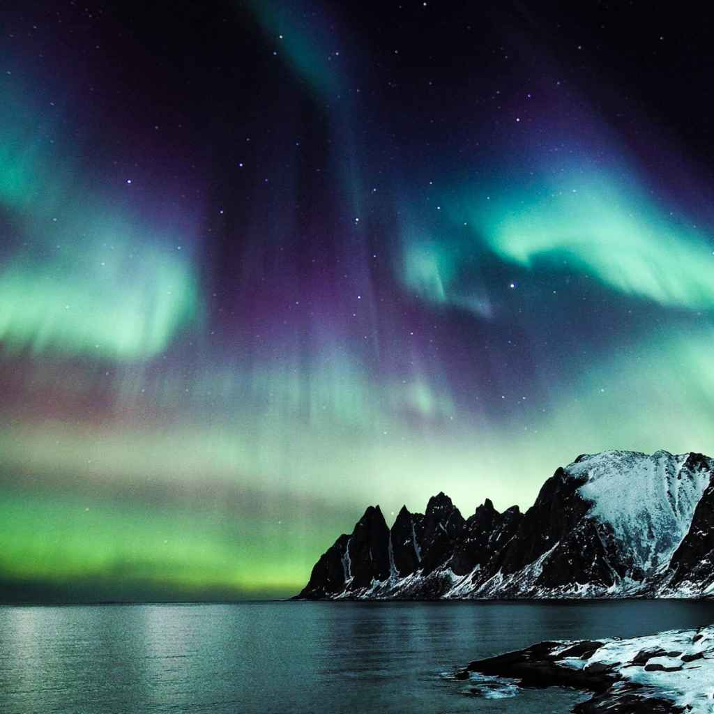 MKS* aurora ezy superior (purple/silver) - BLUE LUG ONLINE STORE