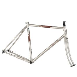 *ALL-CITY* space horse disc frame set (champagne)