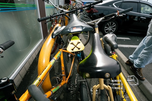 骨は無事に揺れたのであった。