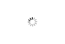 *VELOCITY* a23 track wheel (silver)